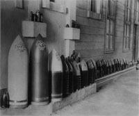 Shells on display