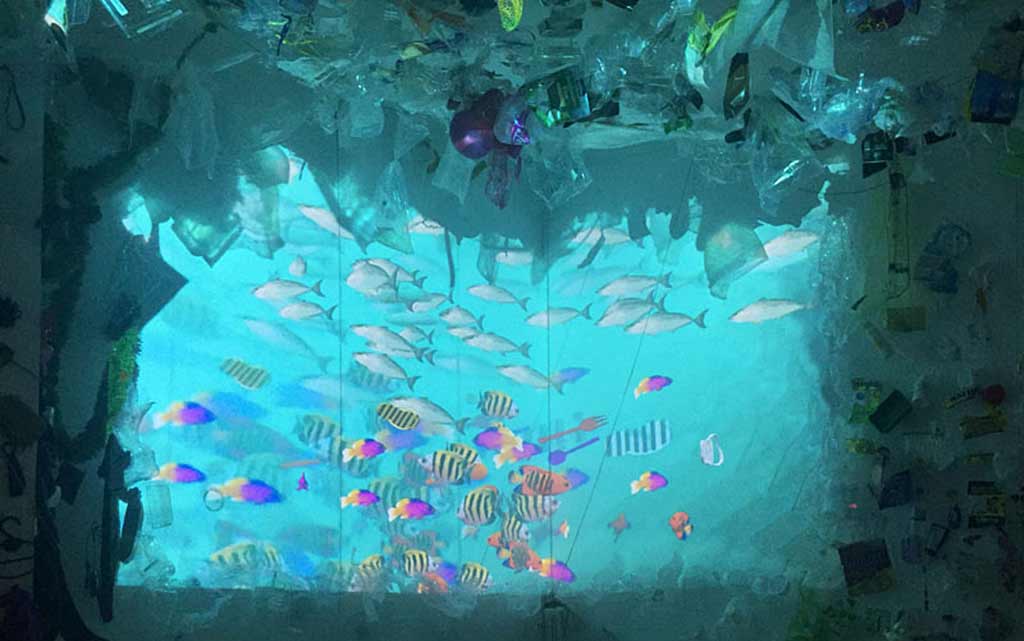 evolution of fish